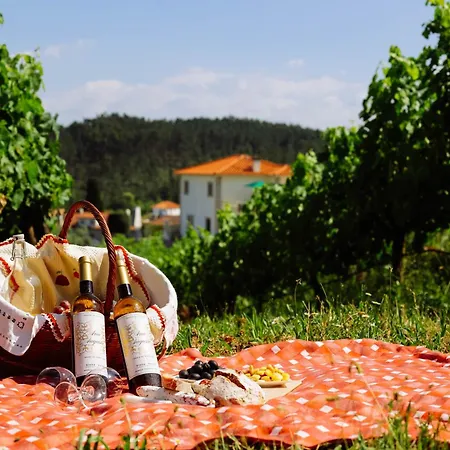 Casa Fundevila Celorico De Basto By Alotur Holiday home *